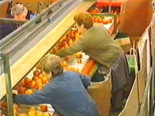naranjas (11)  ALIMENTOS MERCADO